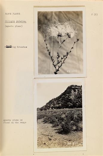 (U.S. DEPARTMENT OF AGRICULTURE--SOIL CONSERVATION) Album with approximately 112 photographs documenting the various species of range